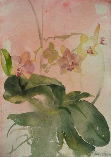 Original Floral Paintings by Natalya Shevelyova