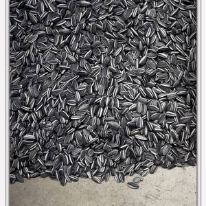 Collection New York State of Mind