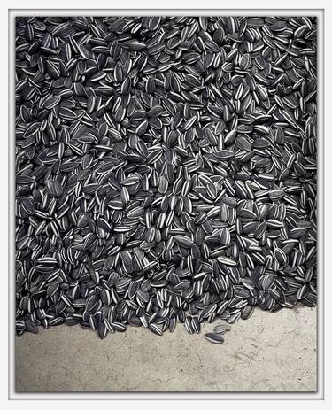 Weiwei's Sunflower Seeds thumb