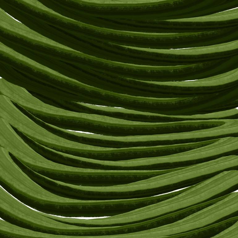 Print of Minimalism Botanic Digital by Vafa Majidli
