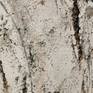 Detail 2