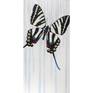 Butterfly 3 in the triptych has zebra-stripe black and white markings with color accents, and tilts to the right.