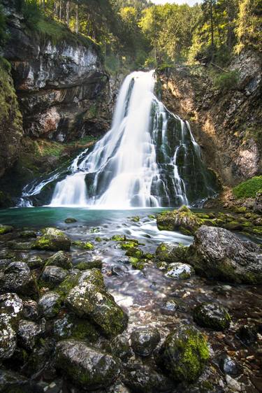 Original Documentary Nature Photography by Yarin Klien