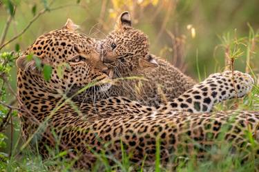 Leopard and a cub at sunset, The Masai Mara ecosystem is a geographical region in Africa, spanning northern Kenya - Limited Edition of 26 thumb