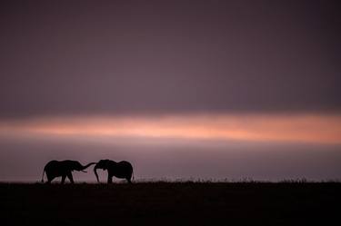 Original Documentary Love Photography by Yarin Klien