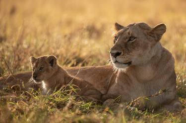 Lioness with her cub, Maasai Mara National Reserve is an area of preserved savannah wilderness in southwestern Kenya, along the Tanzanian border. - Limited Edition of 30 thumb