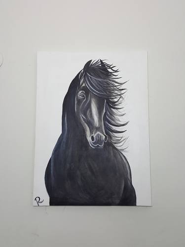 black mustang horse thumb