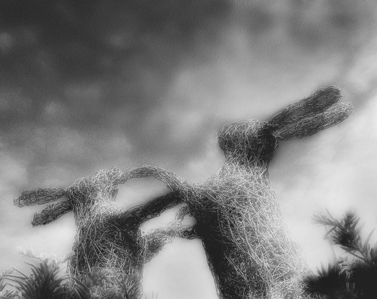 Boxing Hares Photography by Peter Rees | Saatchi Art