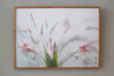 Original Botanic Photography by Marlies Hofstede