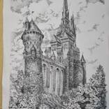 Mysterious castle by Alina Temyrova