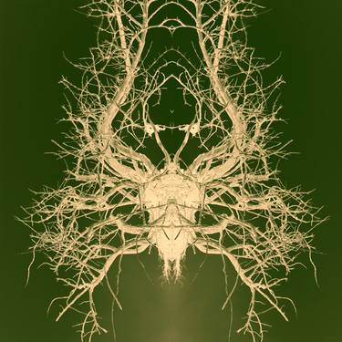 Original Nature Printmaking by Anders Hingel