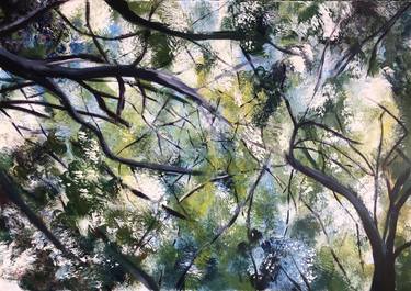 Original Fine Art Tree Paintings by Amber Sidney-Woollett