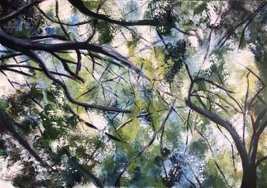 Original Fine Art Tree Painting by Amber Sidney-Woollett