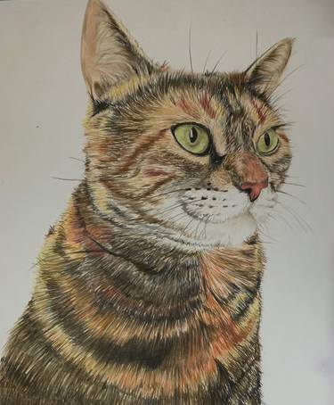 Original Portraiture Animal Drawings by Mahrukh Iftikhar