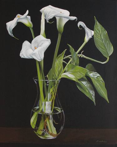 Five callas with pothos thumb