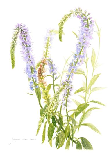 Original Illustration Floral Painting by Jooyeon Nam