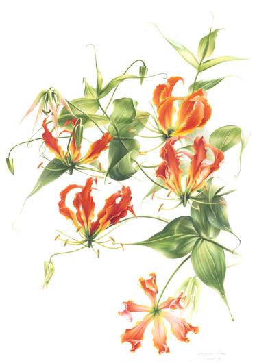 Original Botanic Paintings by Jooyeon Nam