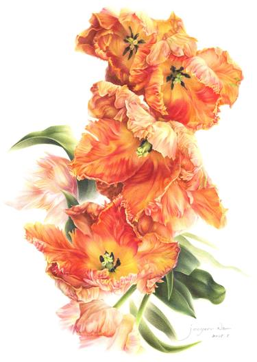 Original Botanic Paintings by Jooyeon Nam