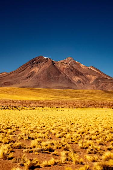 ATACAMA DESERT thumb