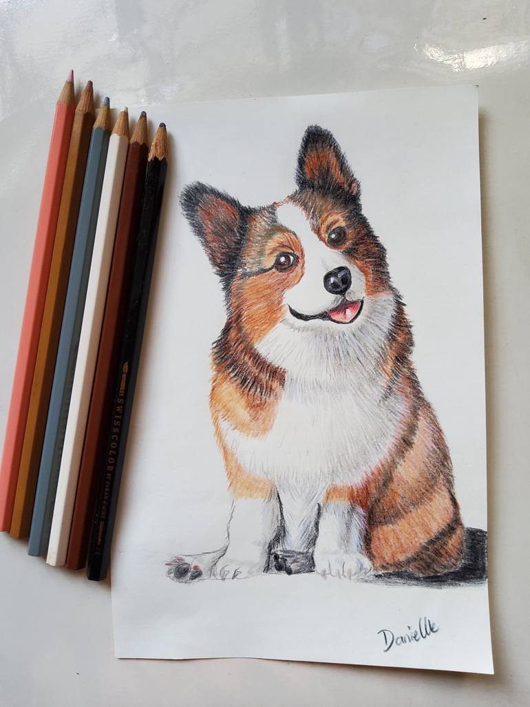 Original Realism Animal Drawing by Danielle Siauw