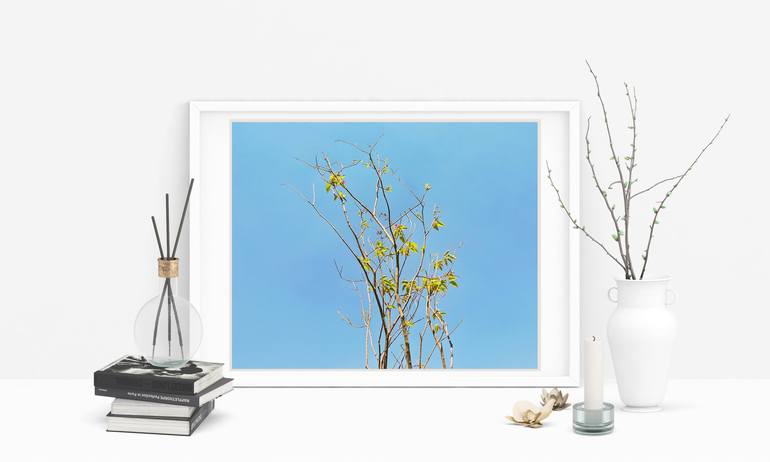 Original Minimalism Nature Photography by Botros Saied