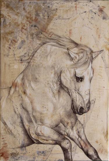 Print of Realism Animal Paintings by Tania Fanjul