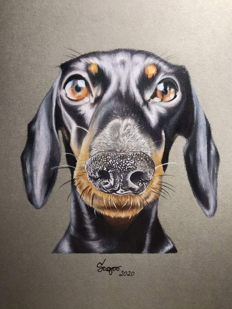 Dachshund drawing hot sale