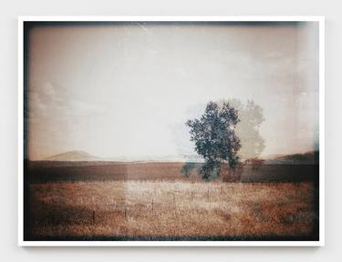 Original Conceptual Landscape Photography by K D