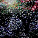 Collection Surreal Landscapes