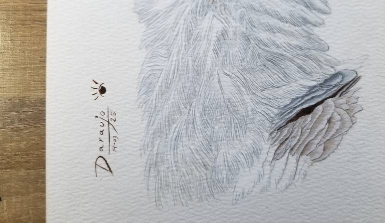 Original Illustration Animal Painting by Daniel Araujo