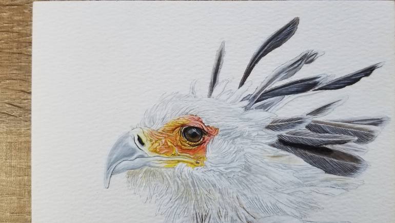 Original Illustration Animal Painting by Daniel Araujo
