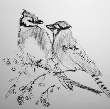 Blue Jay Drawings For Sale Saatchi Art