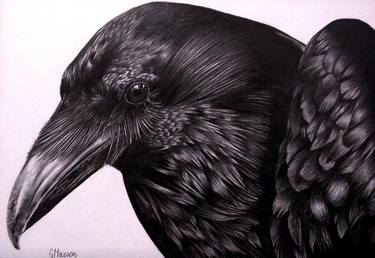 Print of Animal Drawings by Guilherme Mazzon