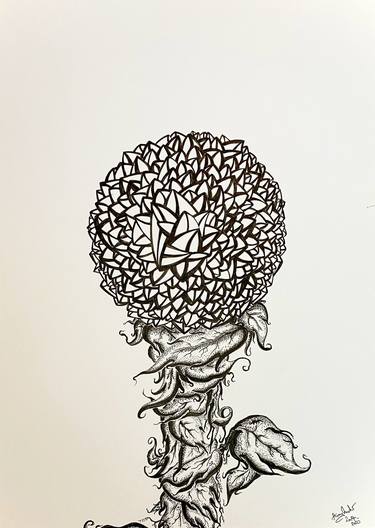 Print of Conceptual Floral Drawings by Harry Marks