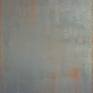 Oil on canvas
2 pictures 60*50*2