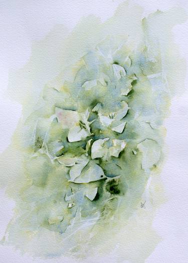 Original Abstract Floral Paintings by Alicia Fordyce