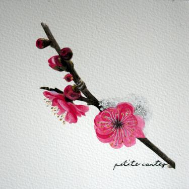 Original Fine Art Floral Paintings by Alicia Fordyce