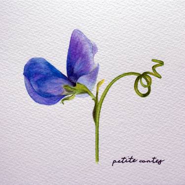 Original Fine Art Floral Paintings by Alicia Fordyce