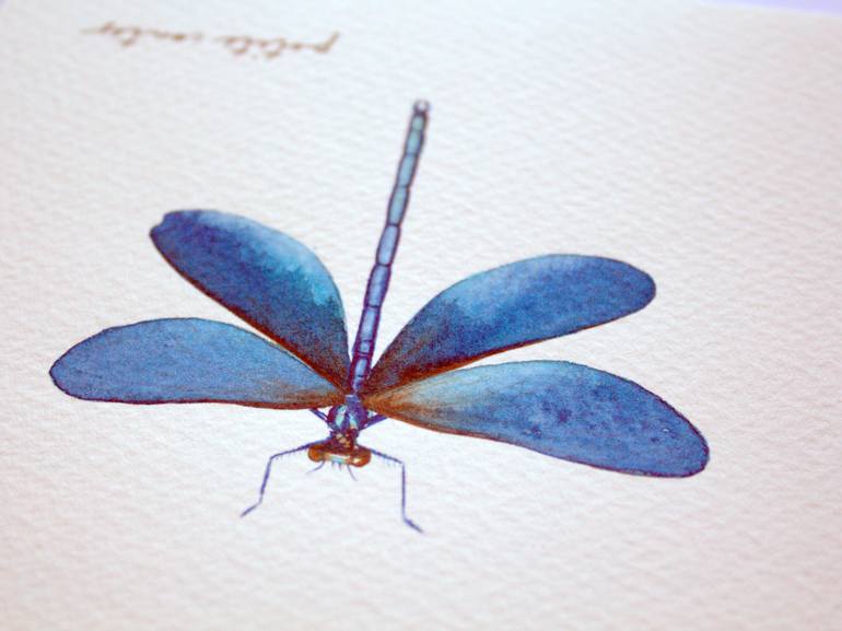 Original Other Animal Painting by Alicia Fordyce