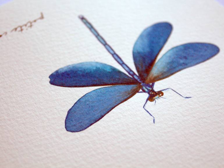 Original Other Animal Painting by Alicia Fordyce