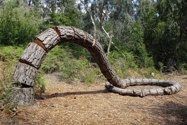 Original Abstract Nature Sculpture by Robbie Rowlands