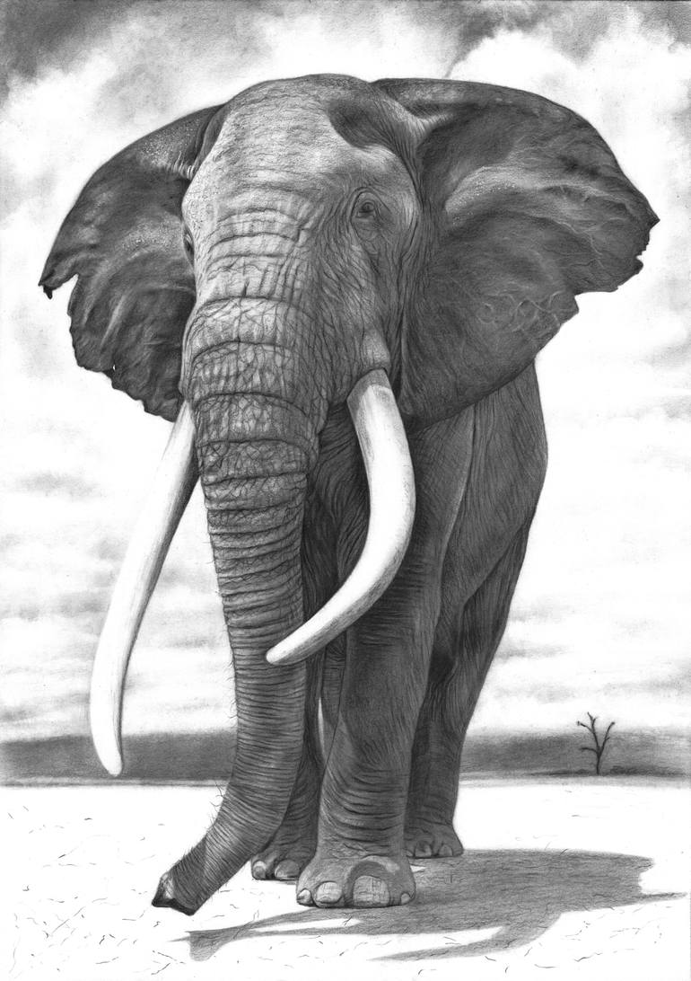 The Last Elephant Drawing by Bleiceanu Elena-Diana | Saatchi Art