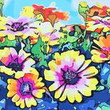 Dance of the Blue-Eyed Daisy by John Jaster