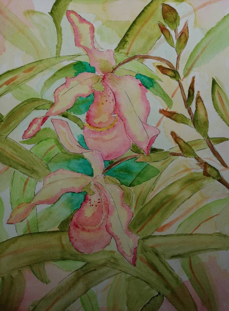 Pink lady slippers discount ( original signed watercolor painting)