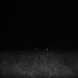 Untitled.  by Lara Clarke-Wardle