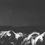 Phase || by Lara Clarke-Wardle