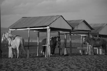 Horses in Pichilemu - Limited Edition of 10 thumb