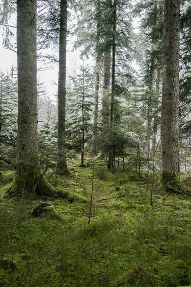 Print of Documentary Landscape Photography by Fabio Accorrà