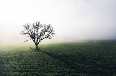 Original Landscape Photography by Fabio Accorrà