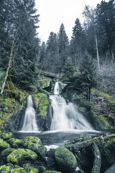 Print of Fine Art Nature Photography by Fabio Accorrà